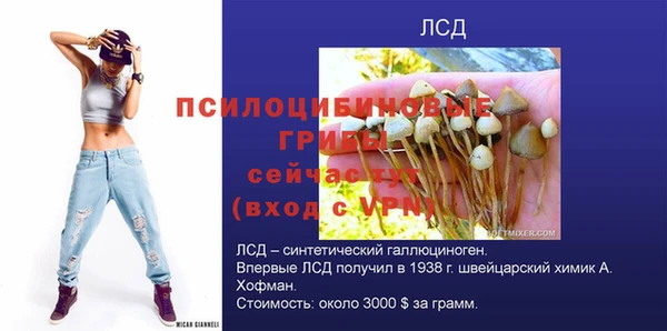 apvp Кодинск