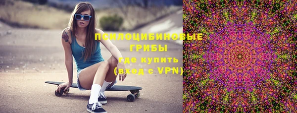 PSILOCYBIN Козельск