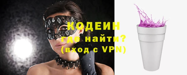apvp Кодинск