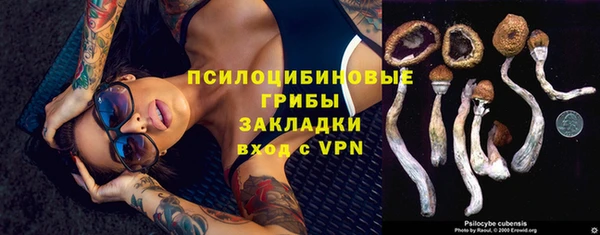 прущая мука Козловка