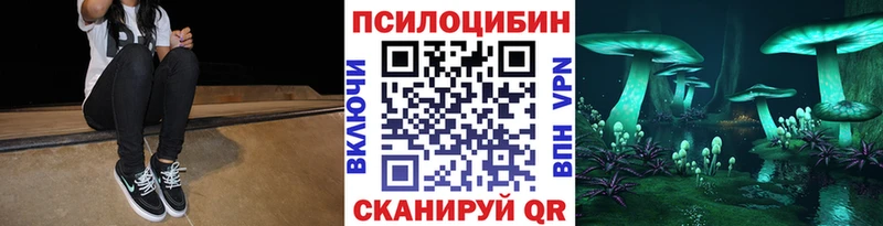 Псилоцибиновые грибы MAGIC MUSHROOMS  Купить где  Дрезна 
